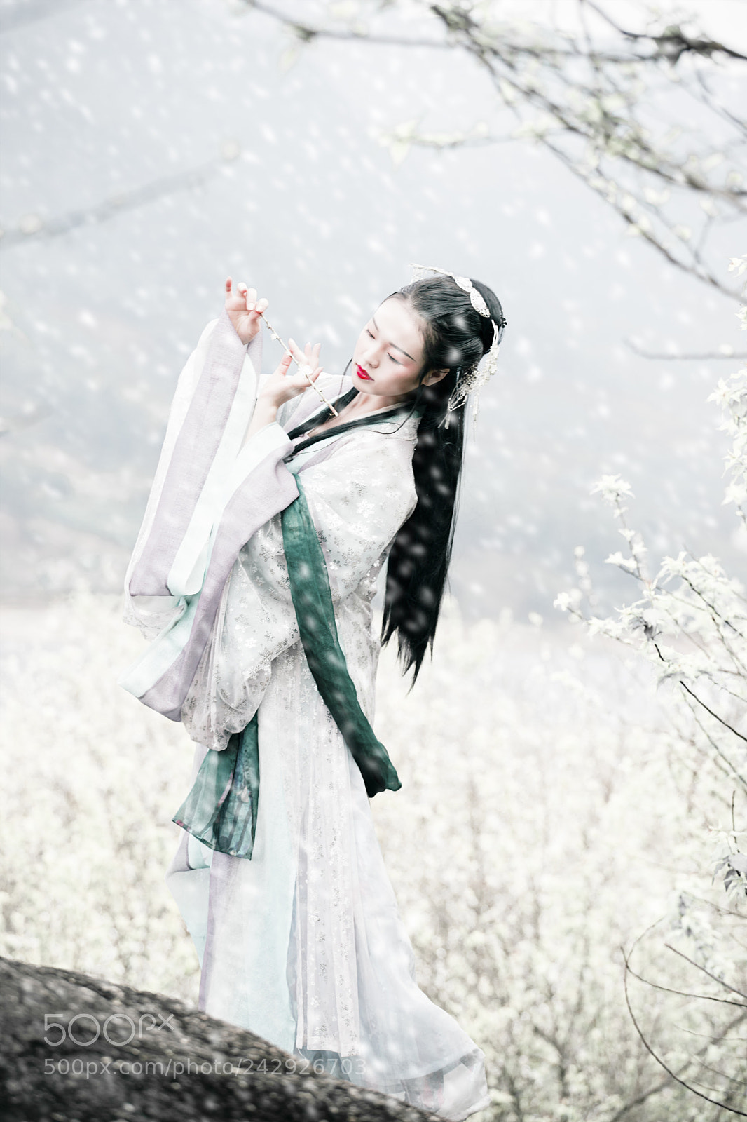 Canon EOS 6D Mark II sample photo. 傲雪寒梅 photography