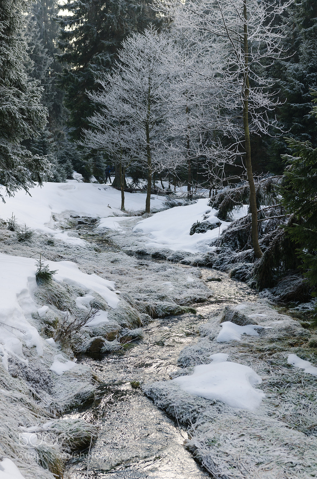 Nikon D7000 sample photo. Creek in snowy forest photography