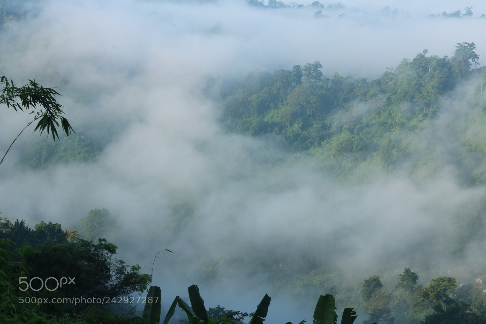 Canon EOS 750D (EOS Rebel T6i / EOS Kiss X8i) + Canon EF 50mm F1.8 STM sample photo. Sky with fog photography