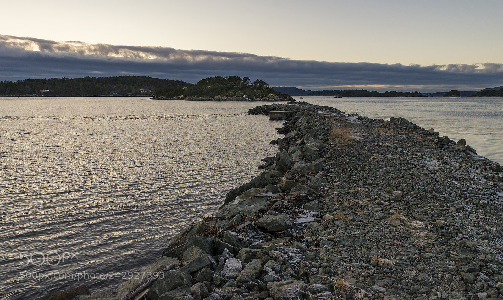 Sony SLT-A99V sample photo. ........ photography