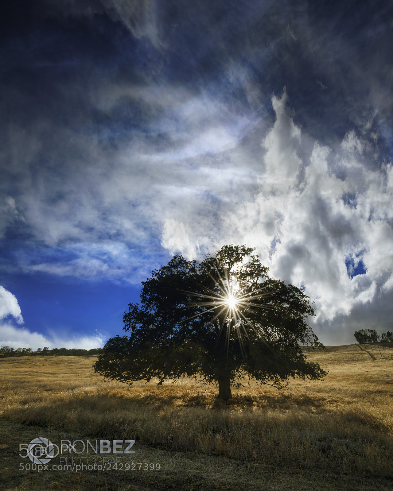 Sony a7R II sample photo. The pass of the photography