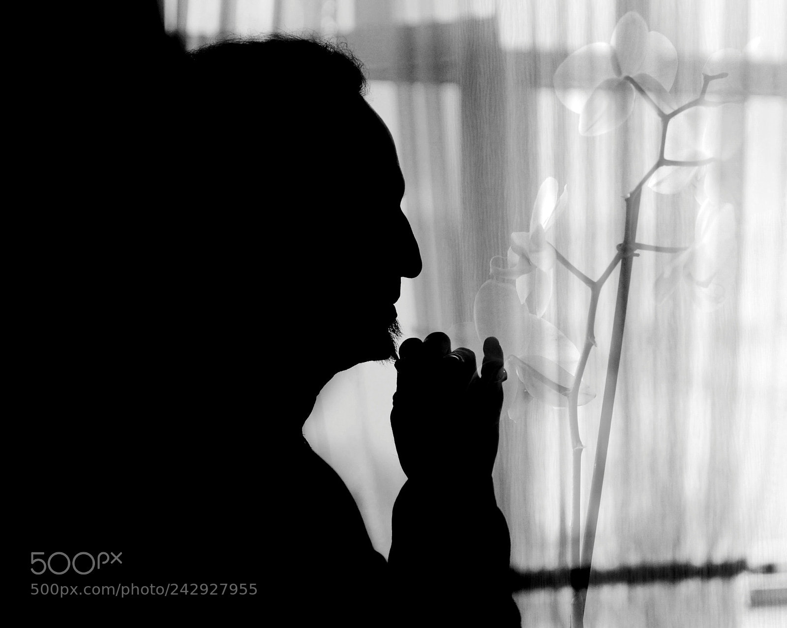 Sony Alpha a99 sample photo. Maximiliano photography