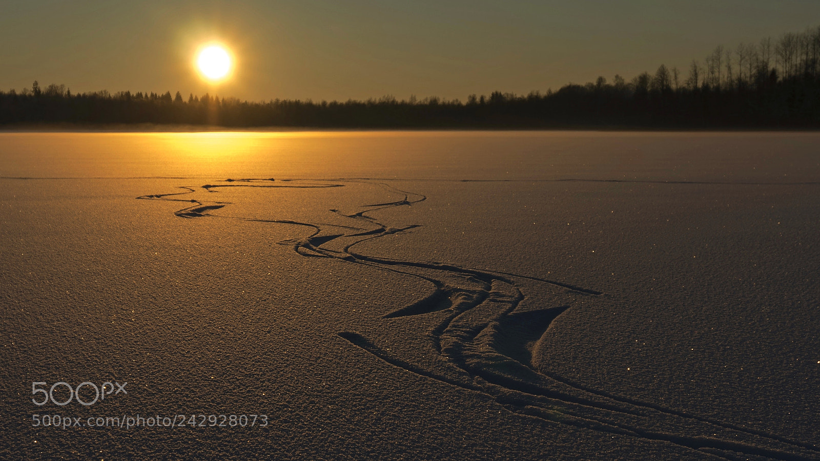 Sony Alpha NEX-5N sample photo. My ice rink photography