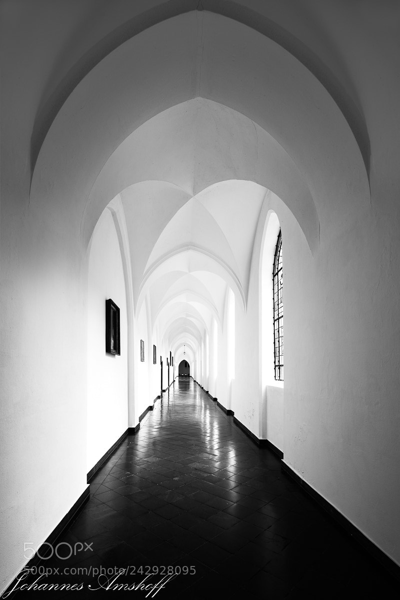 Nikon D800 sample photo. ~gaesdonck~ photography