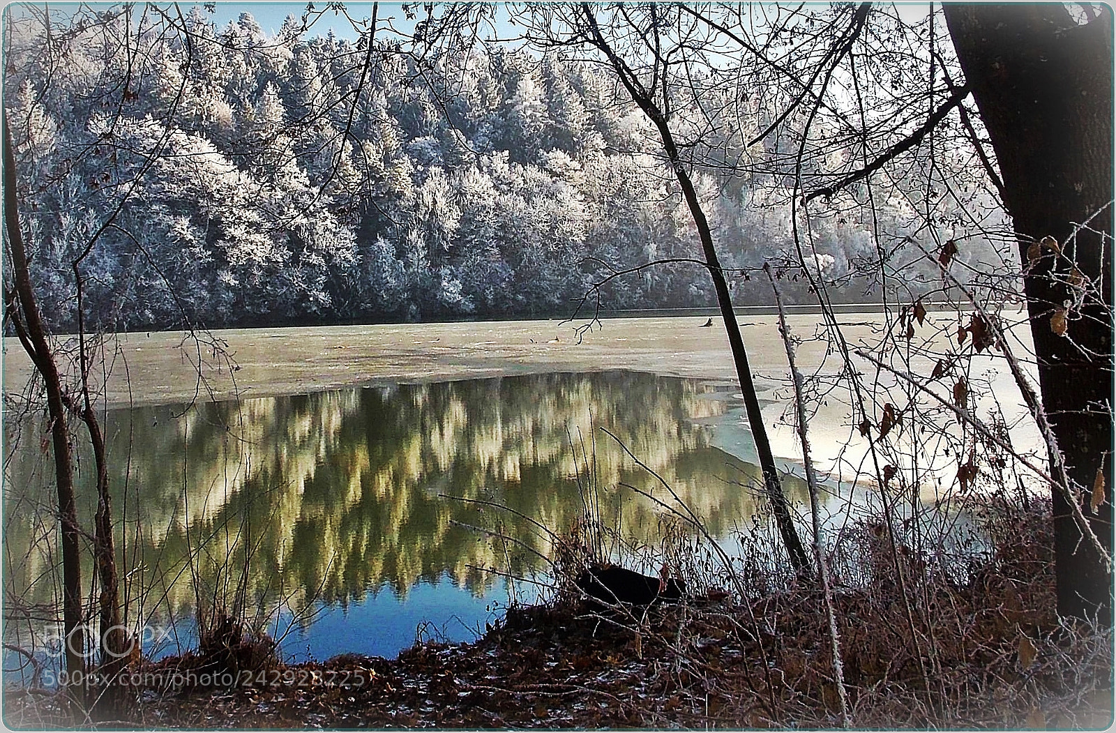 Nikon Coolpix L810 sample photo. Rime in the mirror photography