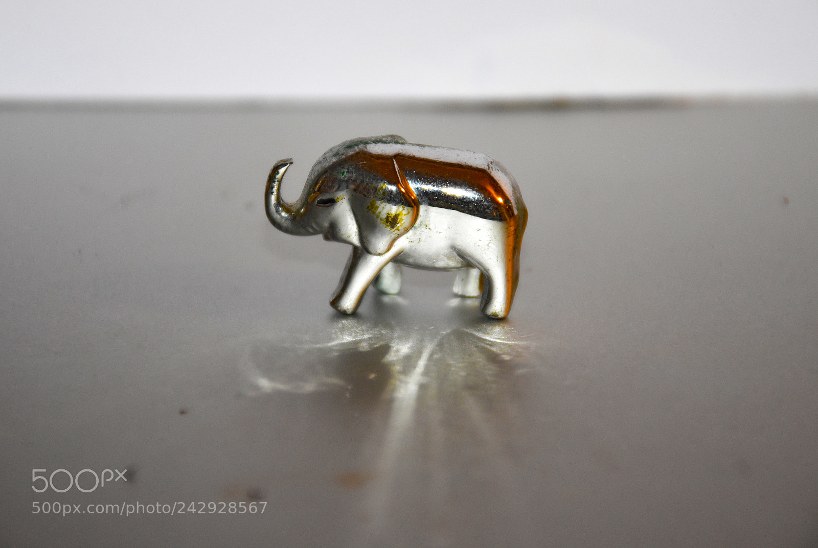 Nikon D7200 sample photo. Elephant west photography