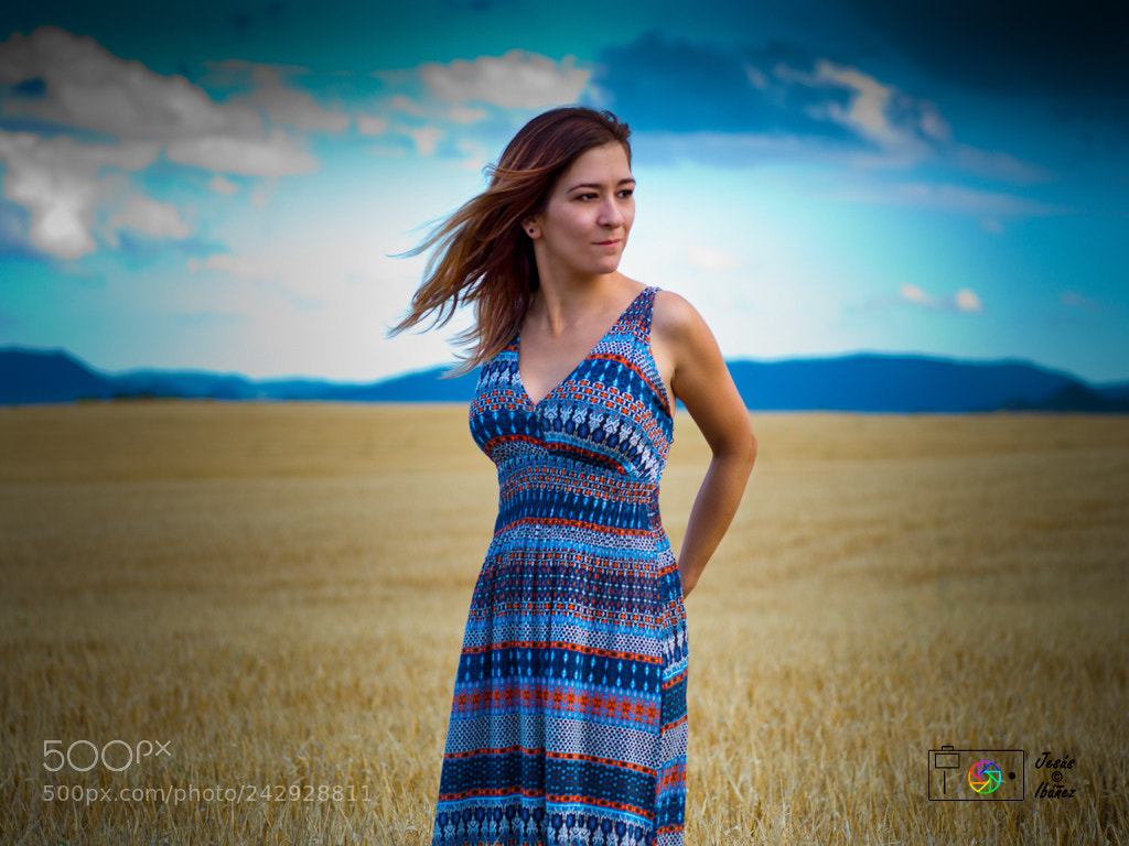 Panasonic Lumix DMC-GH3 sample photo. Memories of summer photography