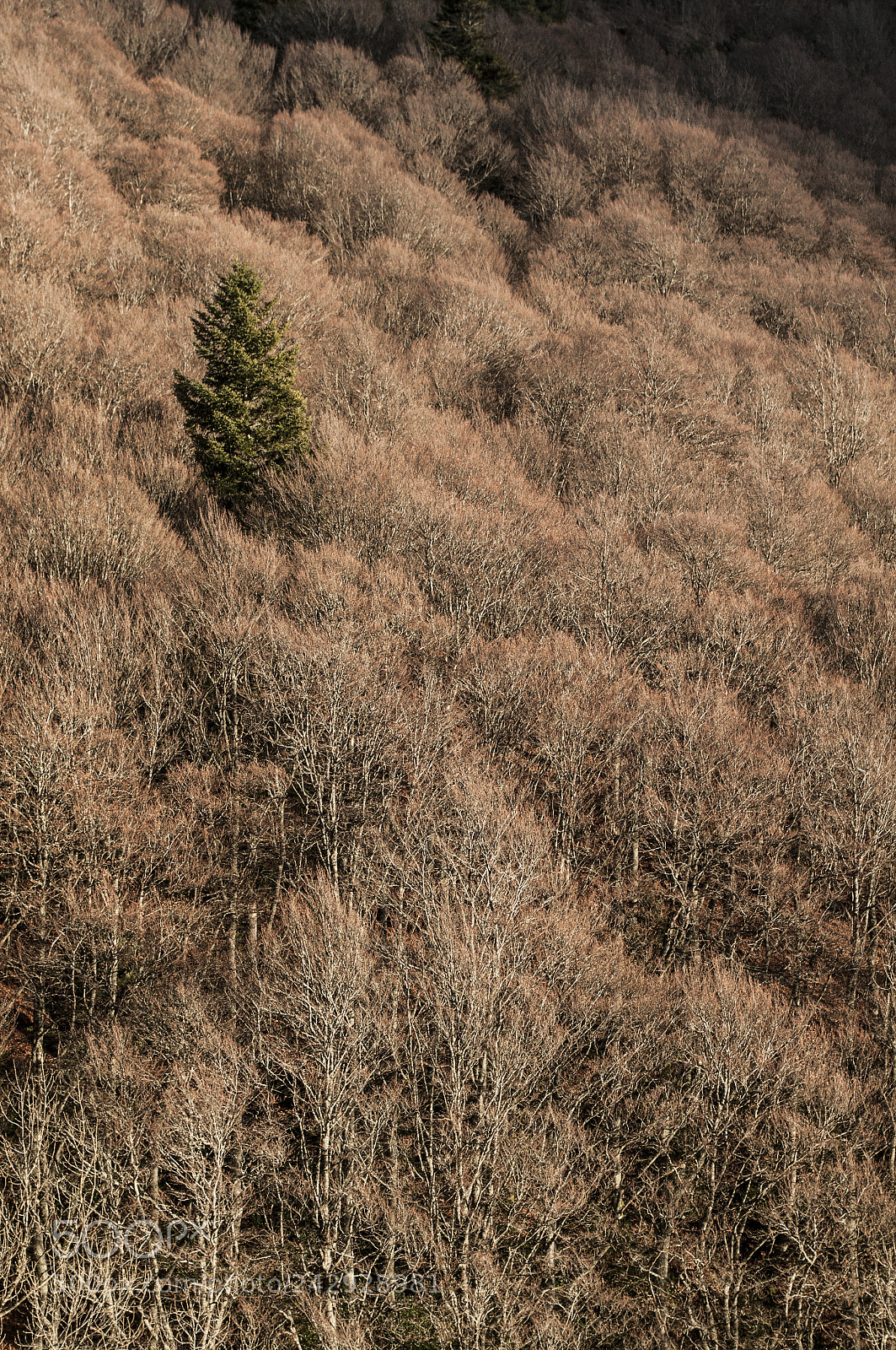 Pentax K-7 sample photo. Iceberg photography