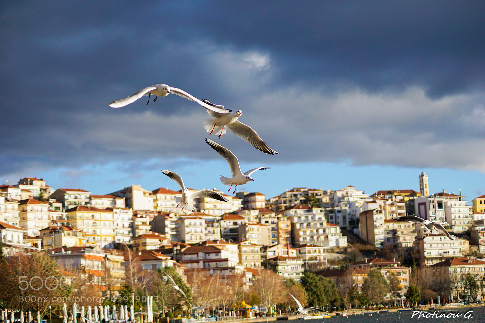 Sony ILCA-77M2 sample photo. Low flights photography