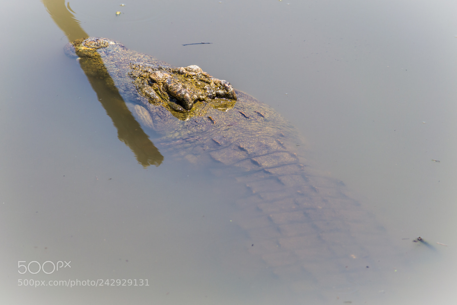 Nikon D3100 sample photo. 20171030-0605.jpg photography