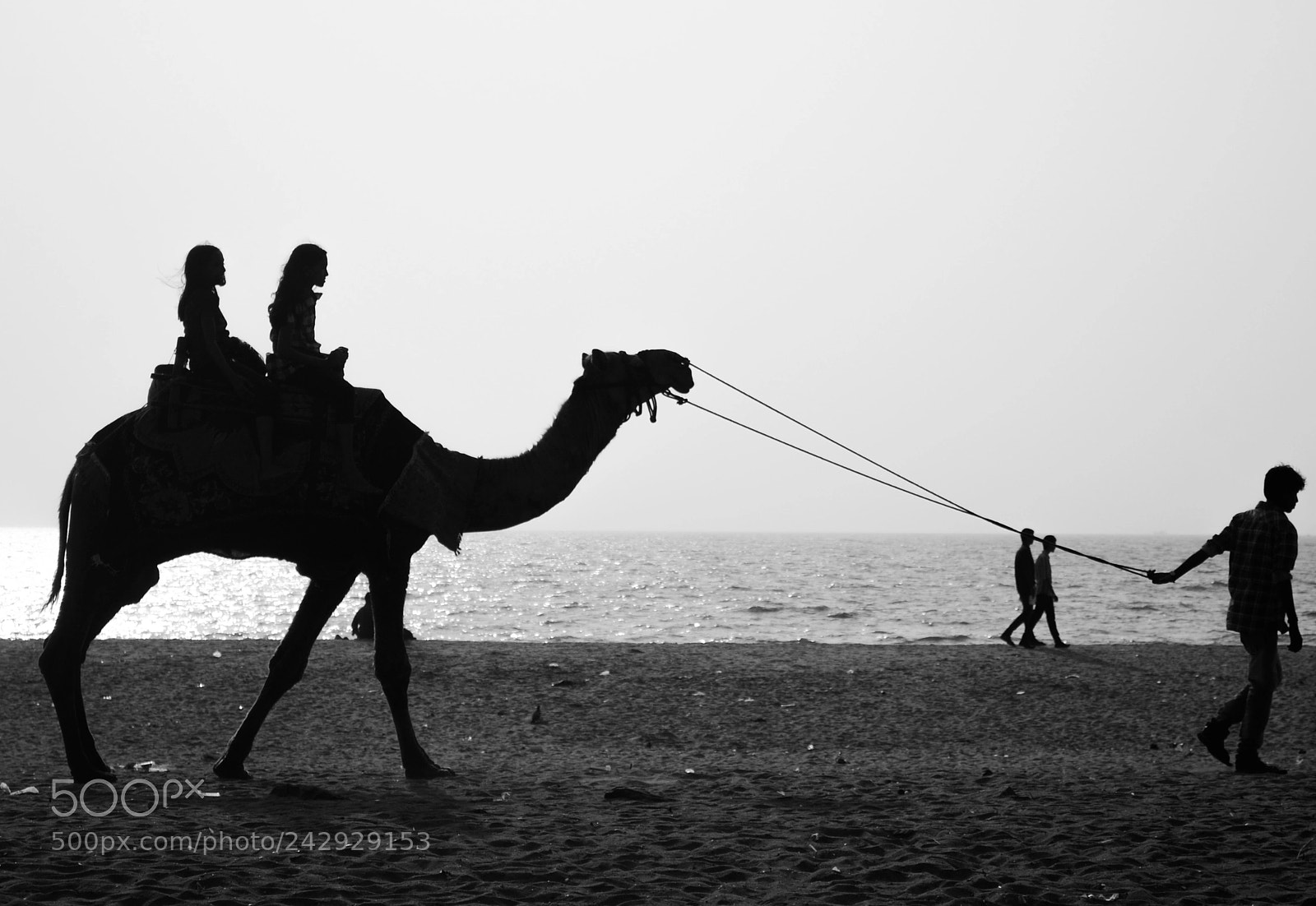 Nikon D3100 sample photo. Livelihood photography