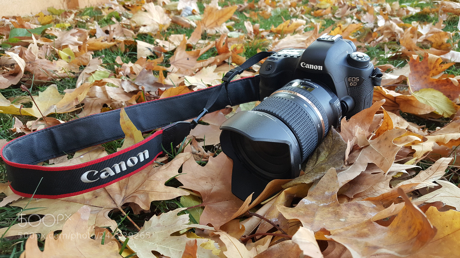 Samsung Galaxy Note5 sample photo. Canon aşk ? photography
