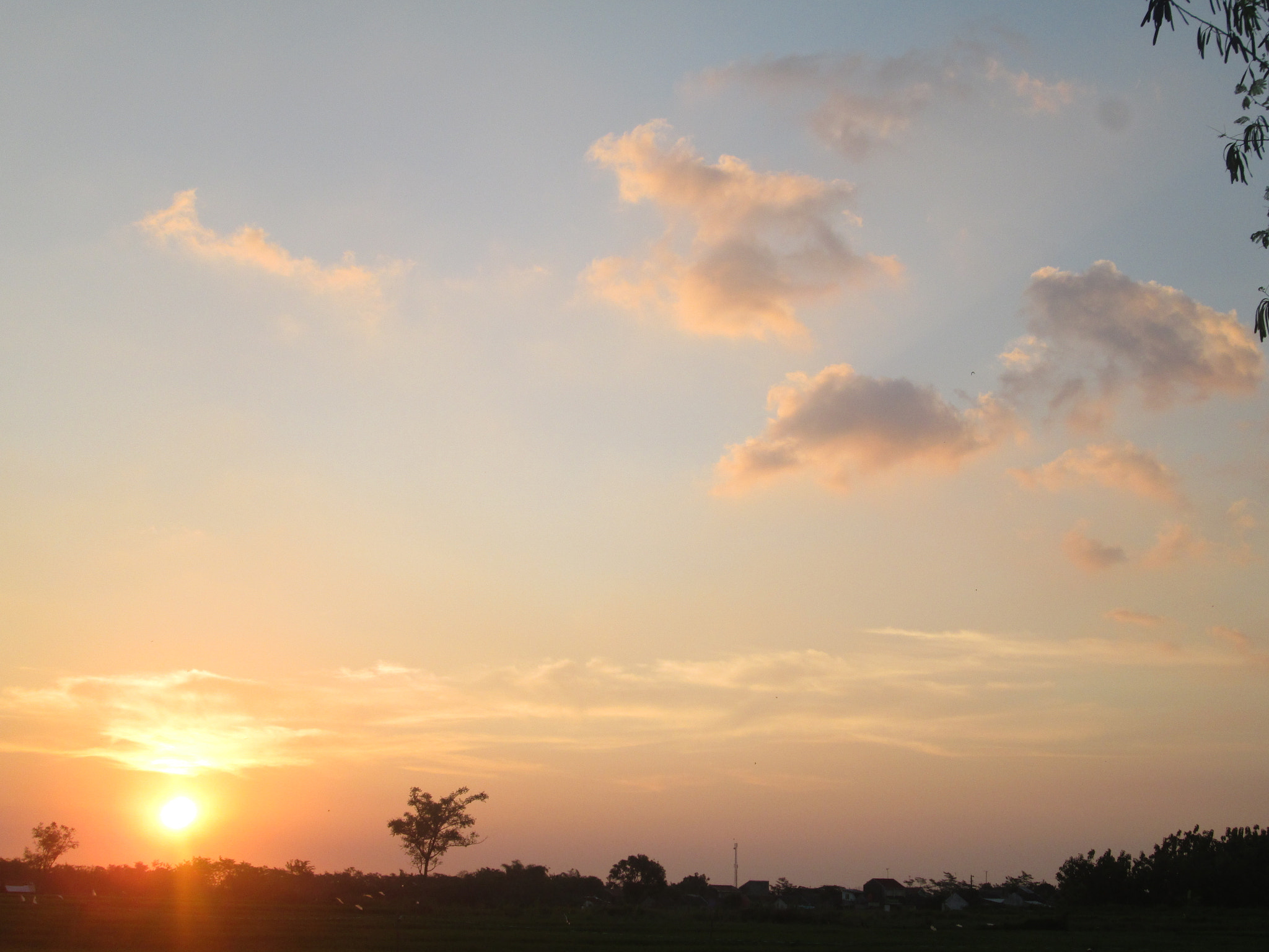 Canon PowerShot A810 sample photo. Nice sunset photography