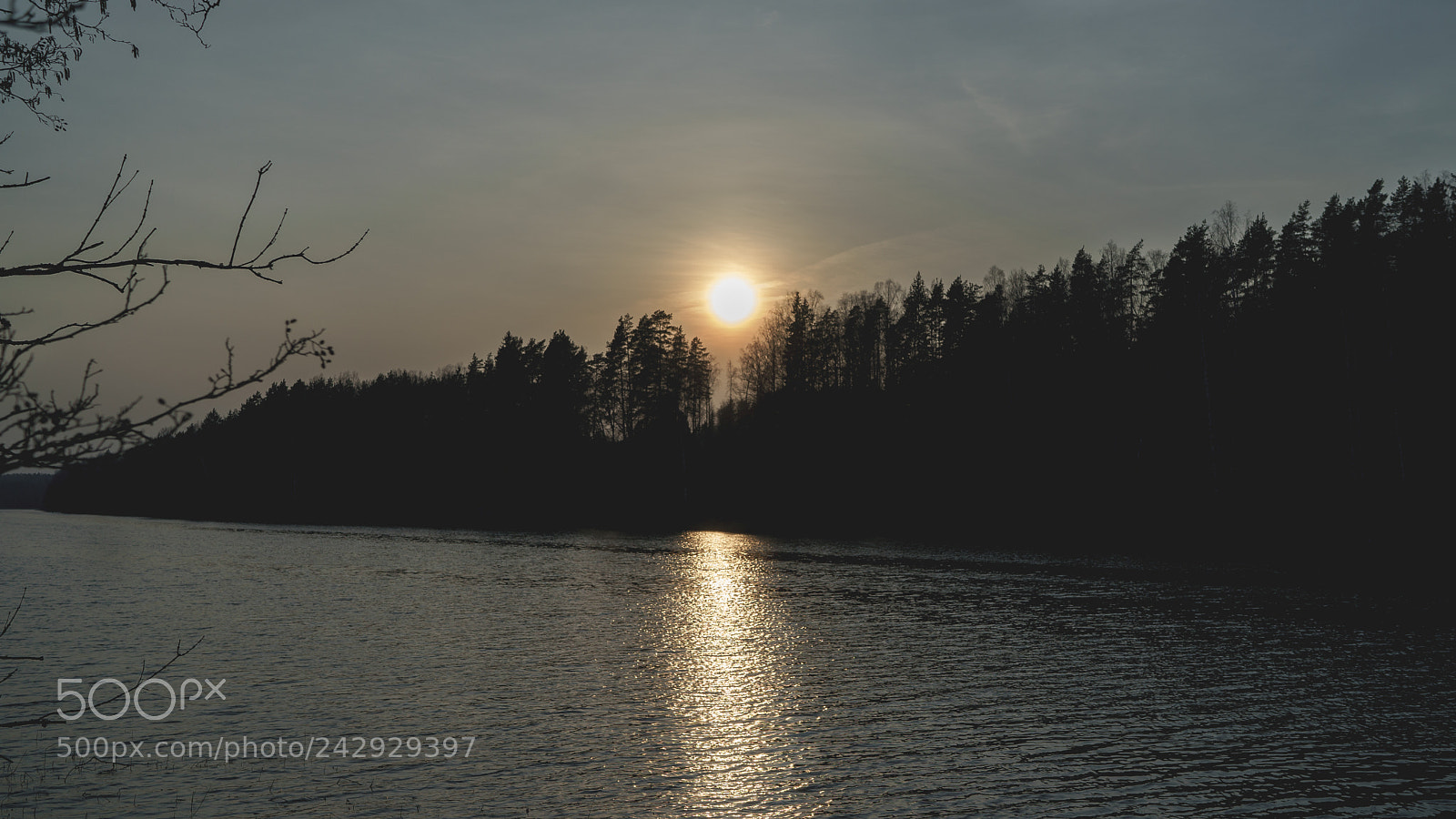 Sony a7 sample photo. Sun photography