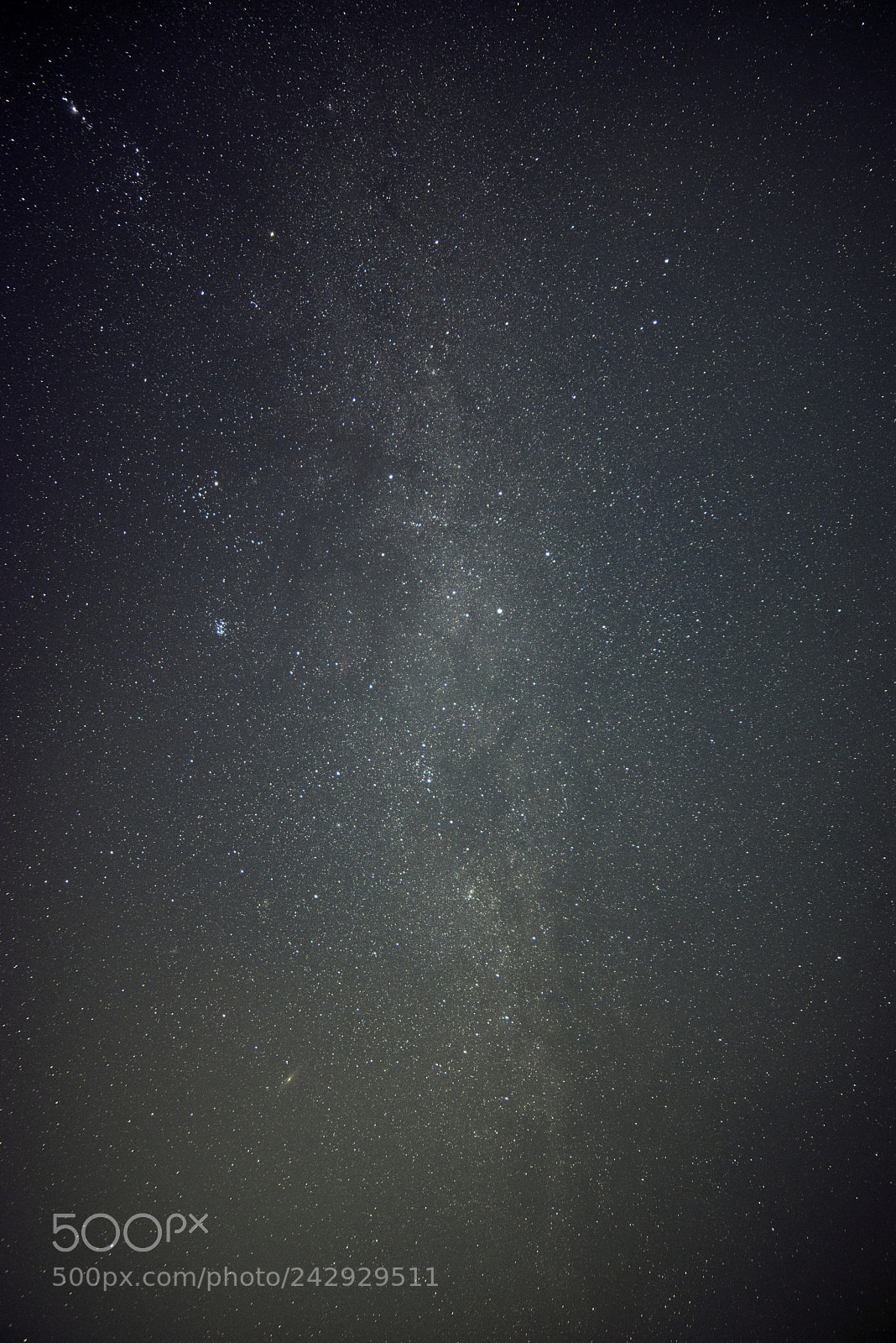 Nikon D610 sample photo. The milkyway photography