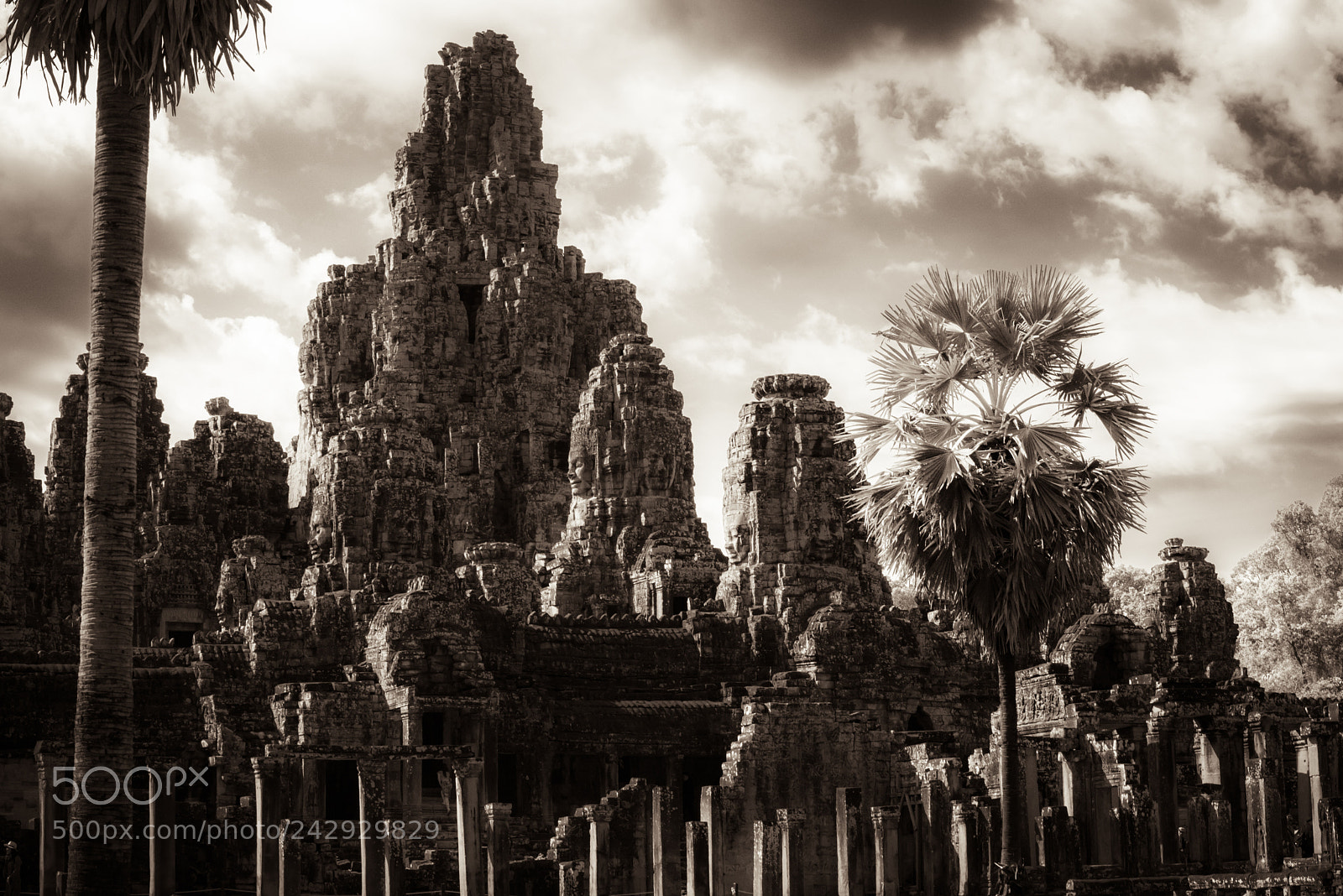 Nikon D810 sample photo. Bayon red photography