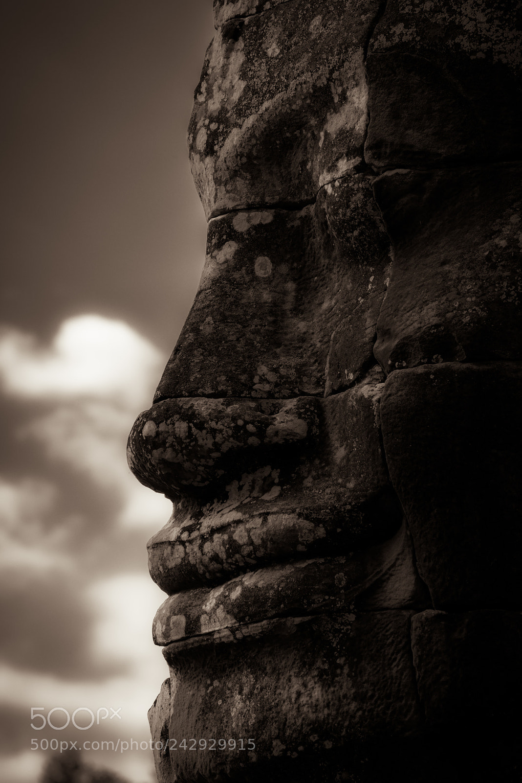 Nikon D810 sample photo. Smiling of bayon temple photography