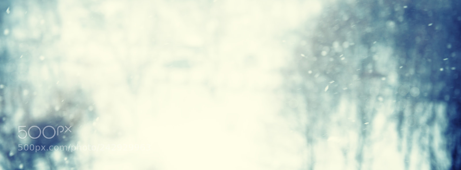 Nikon D810 sample photo. Winter blur background with photography
