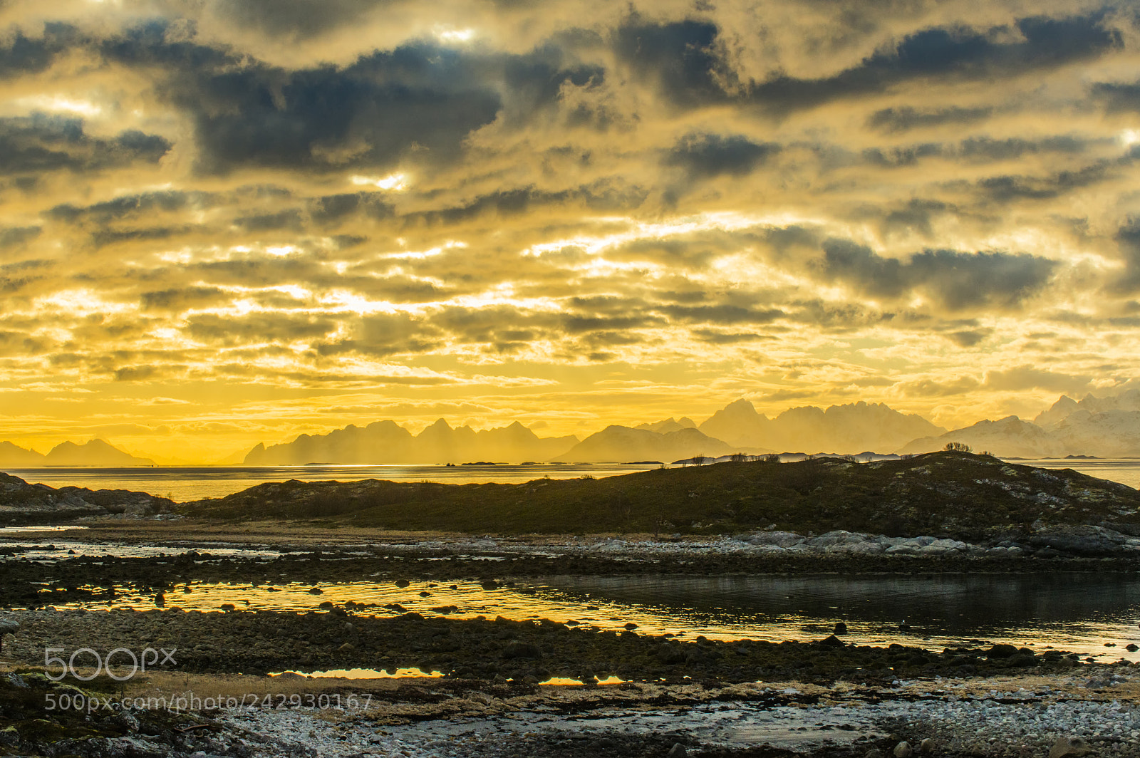 Nikon D800 sample photo. Golden sundown photography