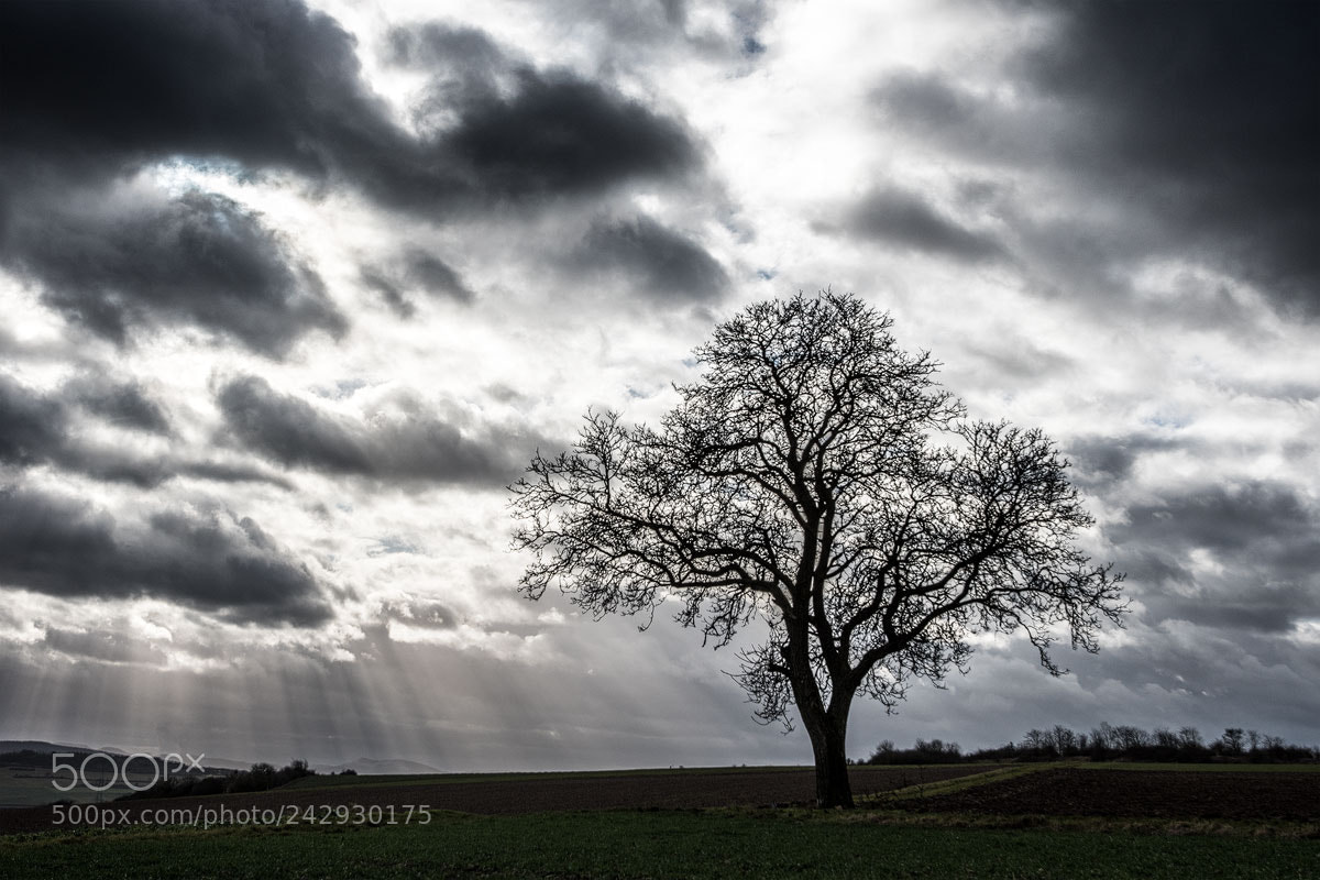 Nikon D500 sample photo. Before the storm photography