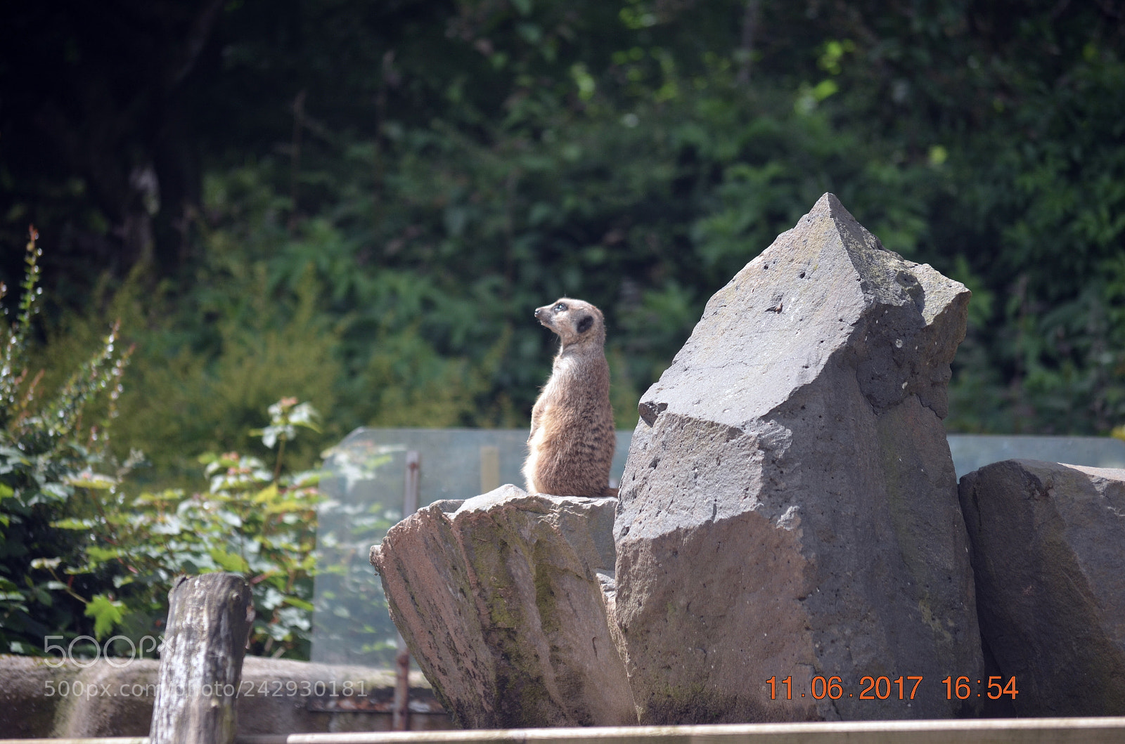 Nikon D5100 sample photo. Random moments photography