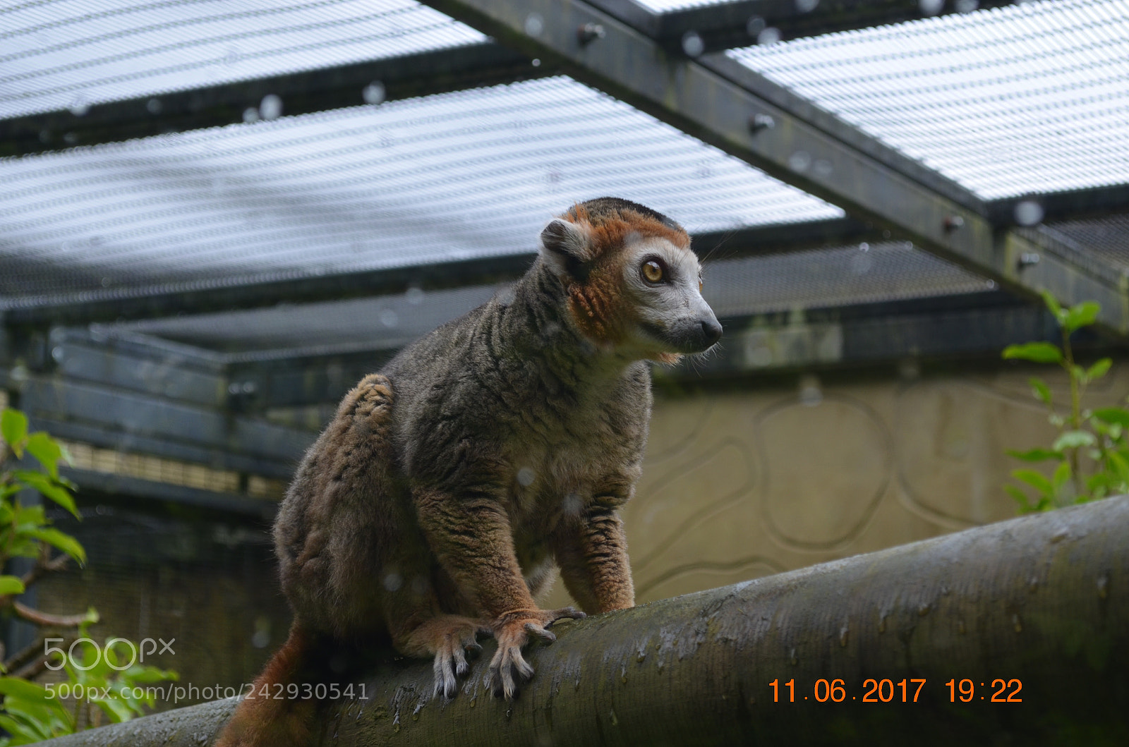 Nikon D5100 sample photo. The pose photography