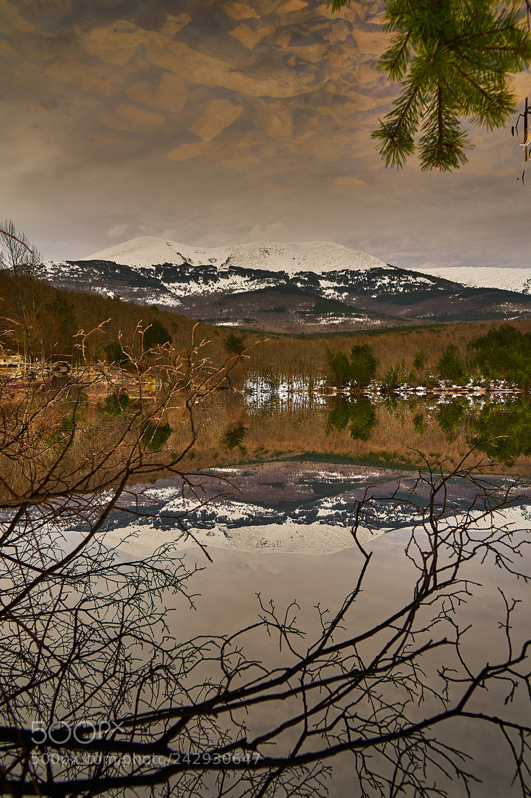 Sony a7 sample photo. Reflejando el reflejo... photography