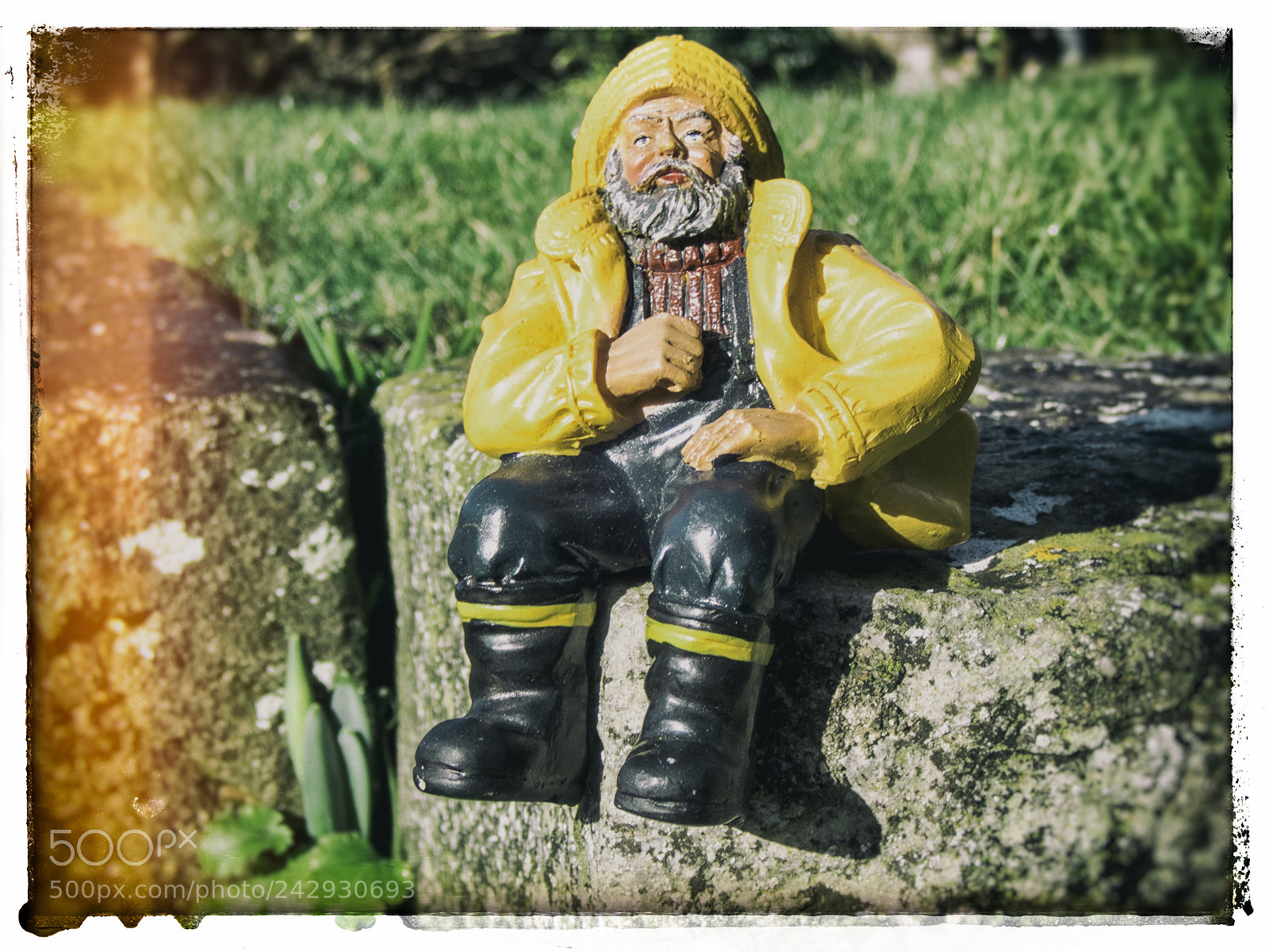 Olympus TG-5 sample photo. Old sea dog photography