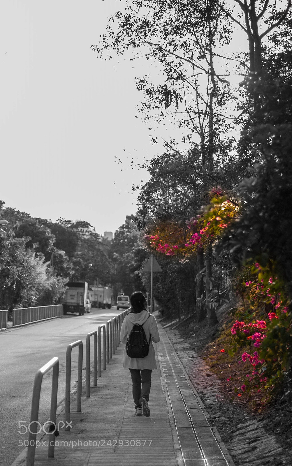 Nikon D700 sample photo. Dark photography