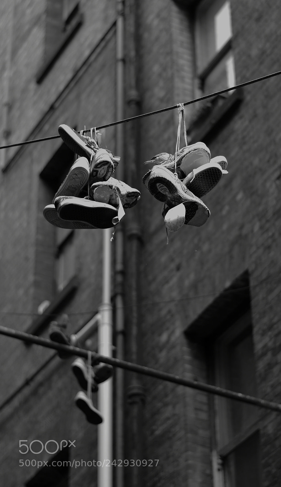Nikon D3400 sample photo. Melbs shoe tossing photography