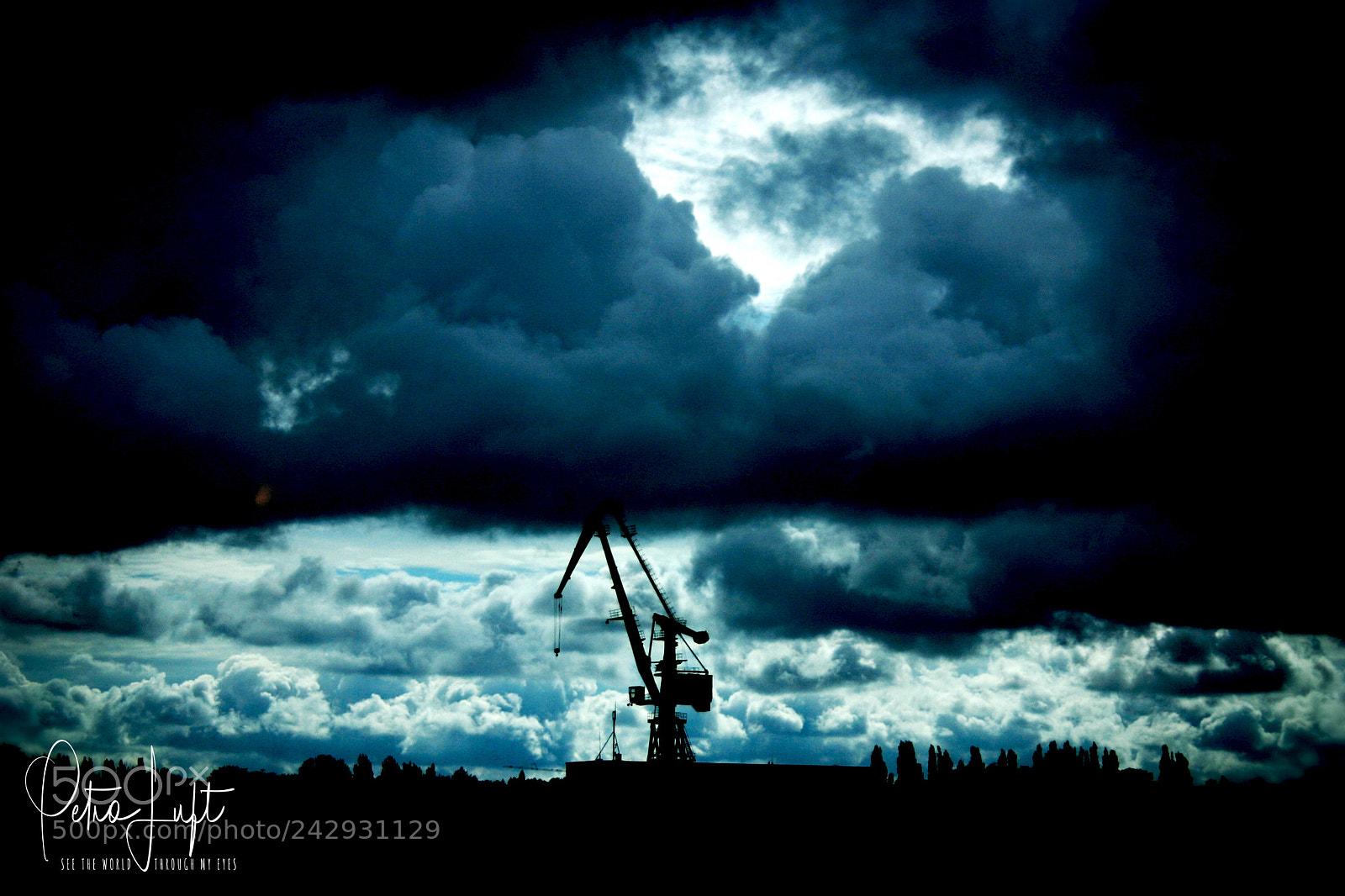 Canon EOS 300D (EOS Digital Rebel / EOS Kiss Digital) sample photo. Crane in the storm photography