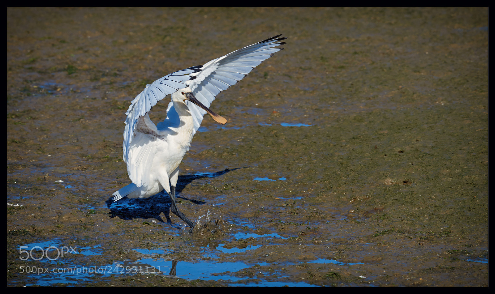 Nikon D810 sample photo. Landing photography