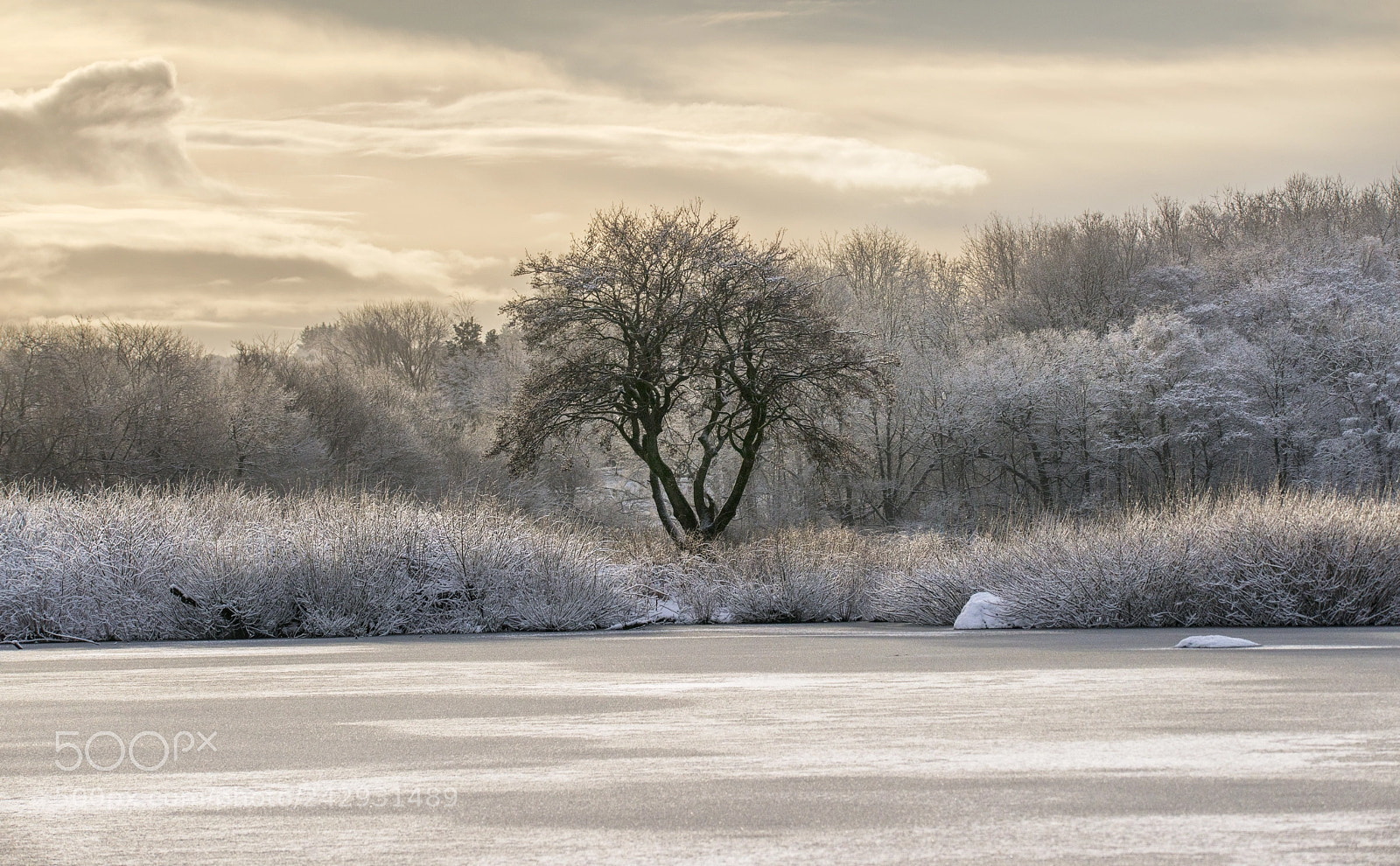 Nikon D800 sample photo. Winter in stavanger photography