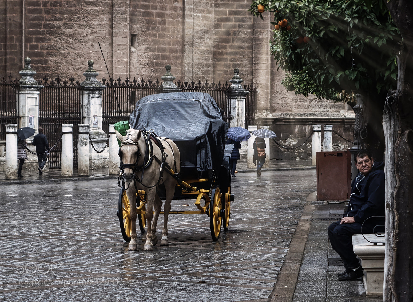Sony Cyber-shot DSC-RX100 II sample photo. Horse and buggy, seville photography