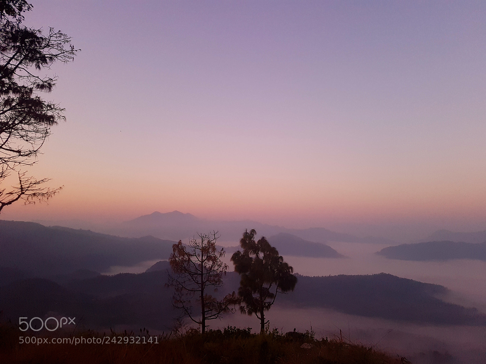 Samsung Galaxy S7 Edge sample photo. Above cloud- bandipur top photography