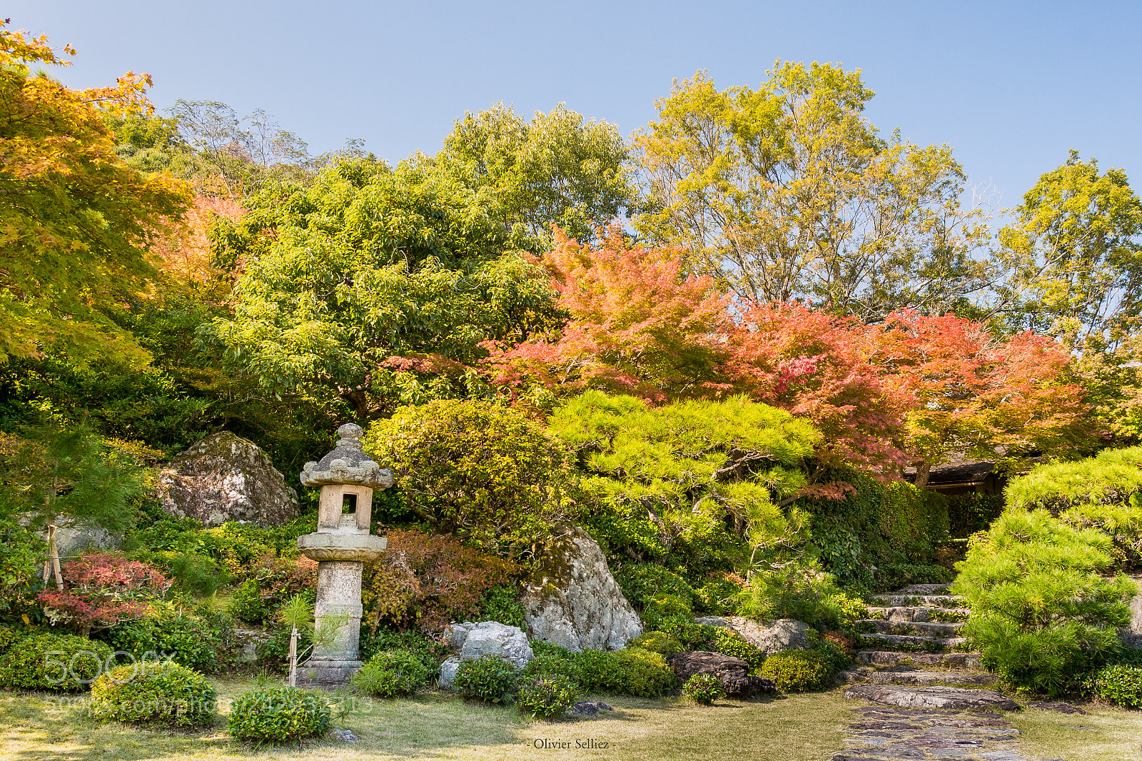 Nikon D7100 sample photo. Okochi sanso garden photography
