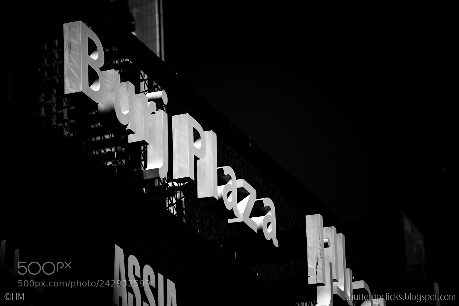 Nikon D500 sample photo. Untitled photography