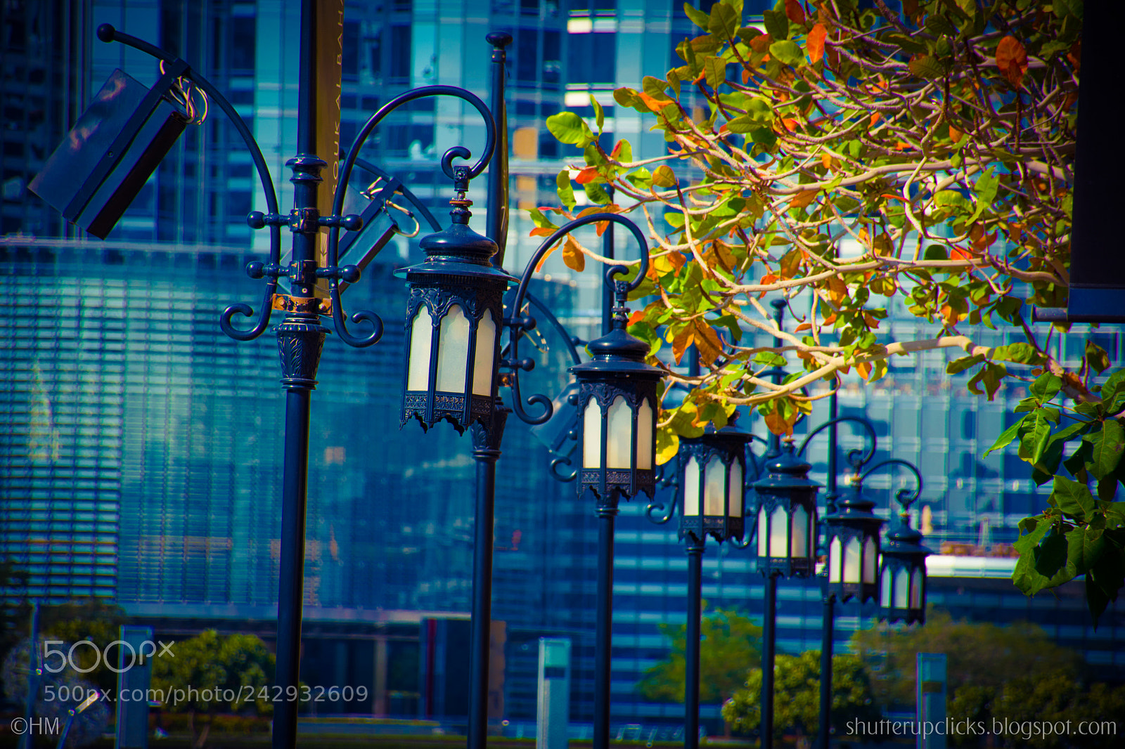 Nikon D500 sample photo. Untitled photography