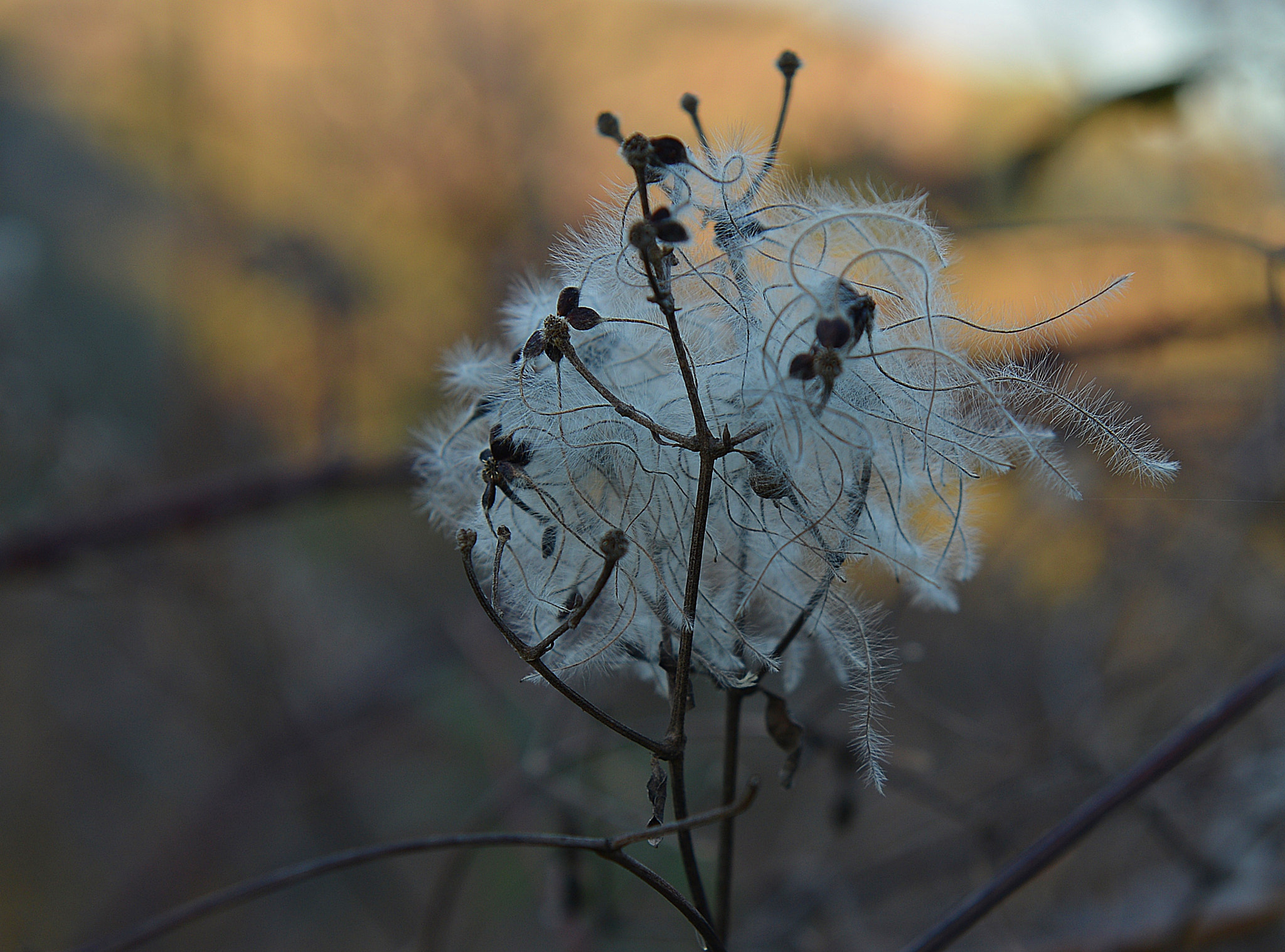 Nikon AF-S Nikkor 24-70mm F2.8G ED sample photo. Ctn photography