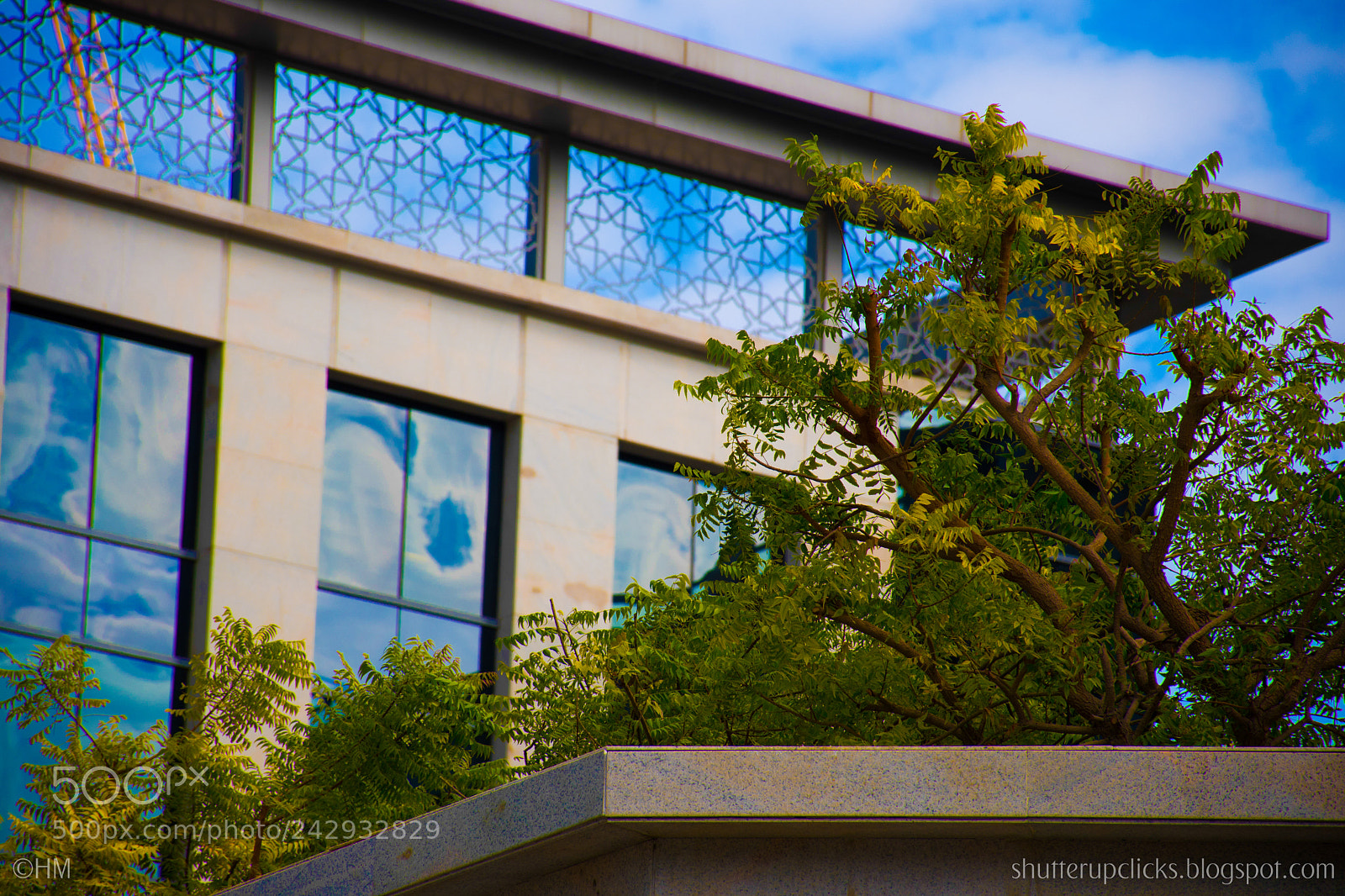 Nikon D500 sample photo. Untitled photography