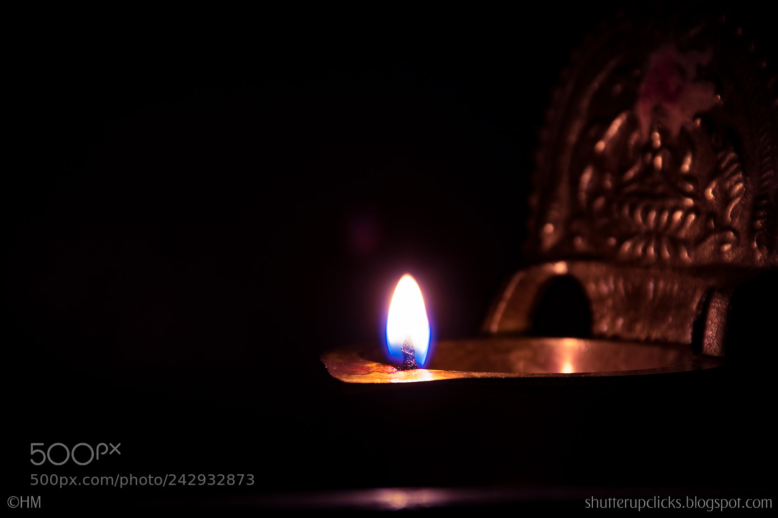 Nikon D500 sample photo. Untitled photography