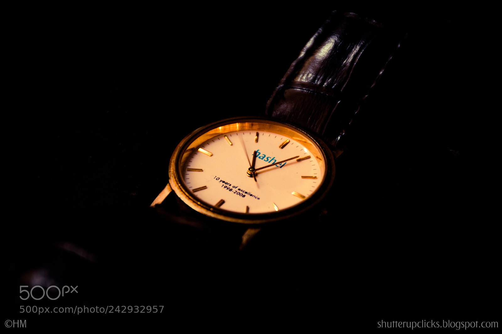 Nikon D500 sample photo. Untitled photography