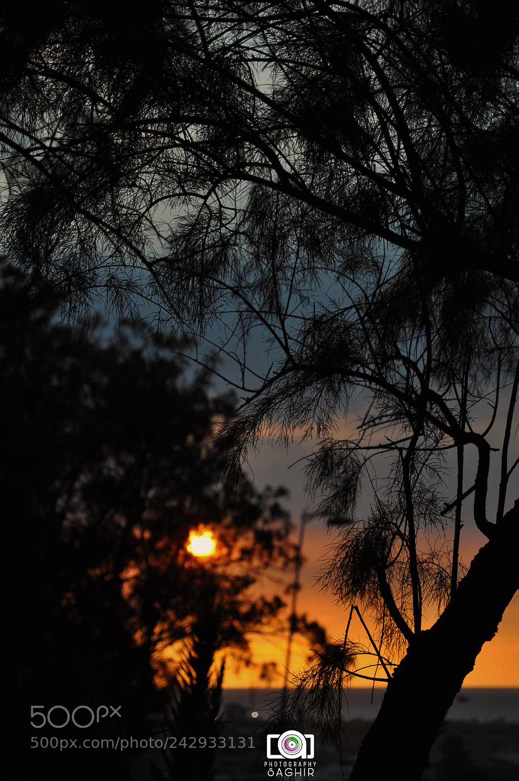 Nikon D90 sample photo. Untitled photography