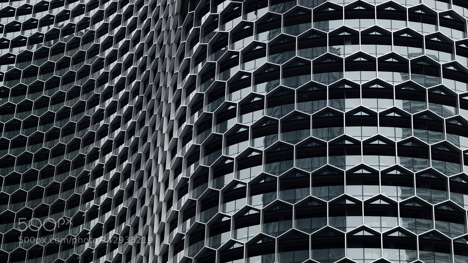 Nikon D850 sample photo. Human beehive photography