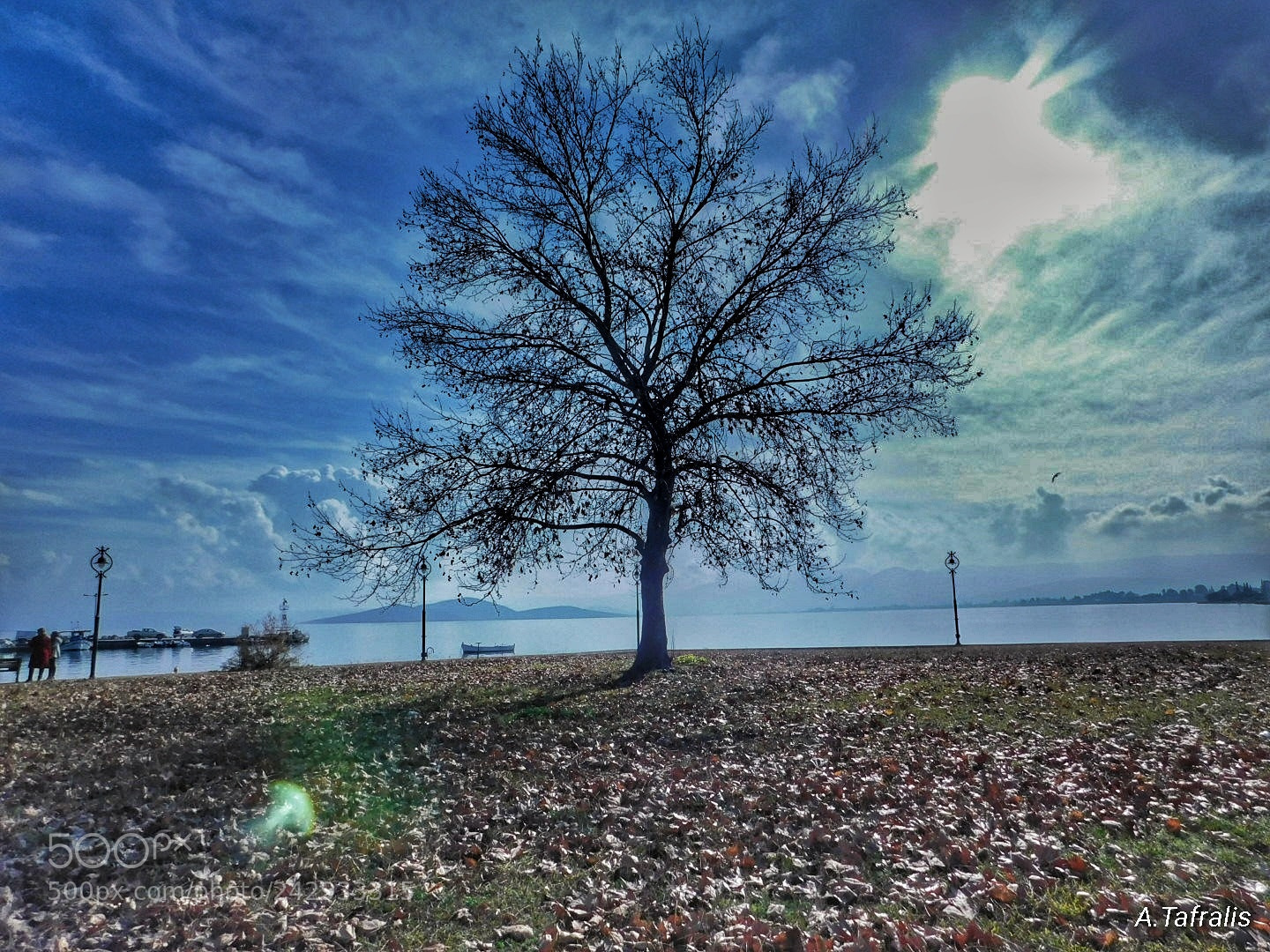 Nikon Coolpix B500 sample photo. Untitled photography