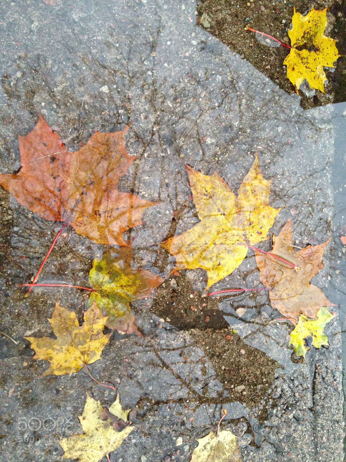 Apple iPhone 5 sample photo. Mirror for big brother photography