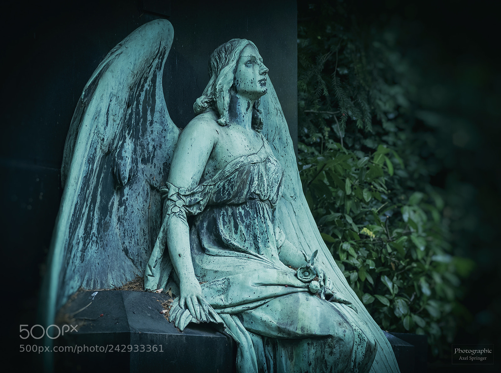 Pentax K-3 sample photo. Angel 287 photography
