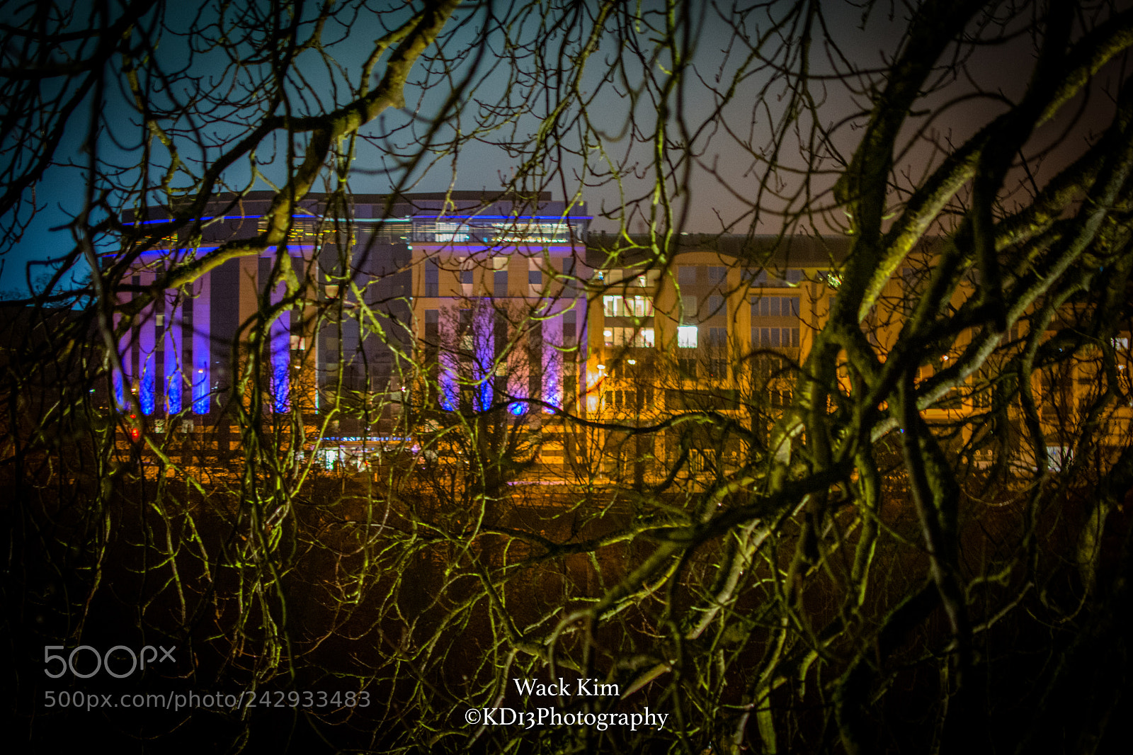 Nikon D7100 sample photo. Behind the trees photography