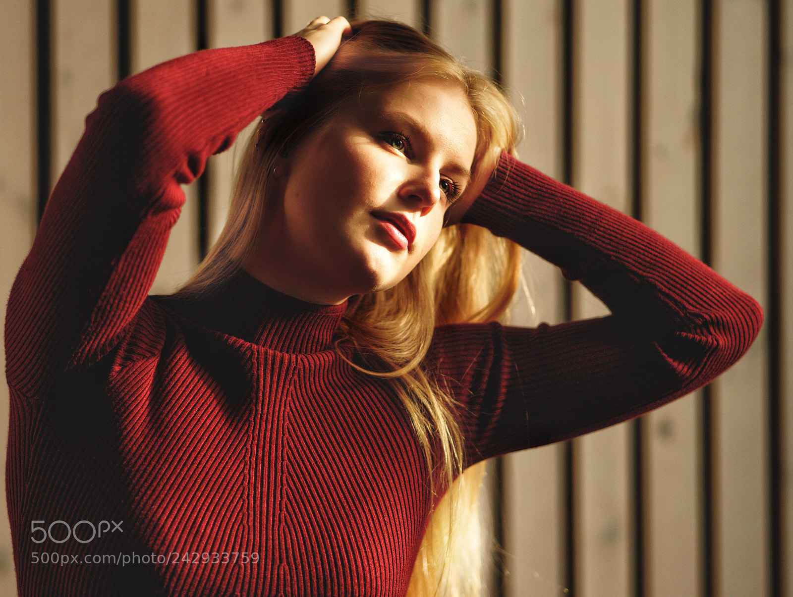 Sony a7 II sample photo. Untitled photography
