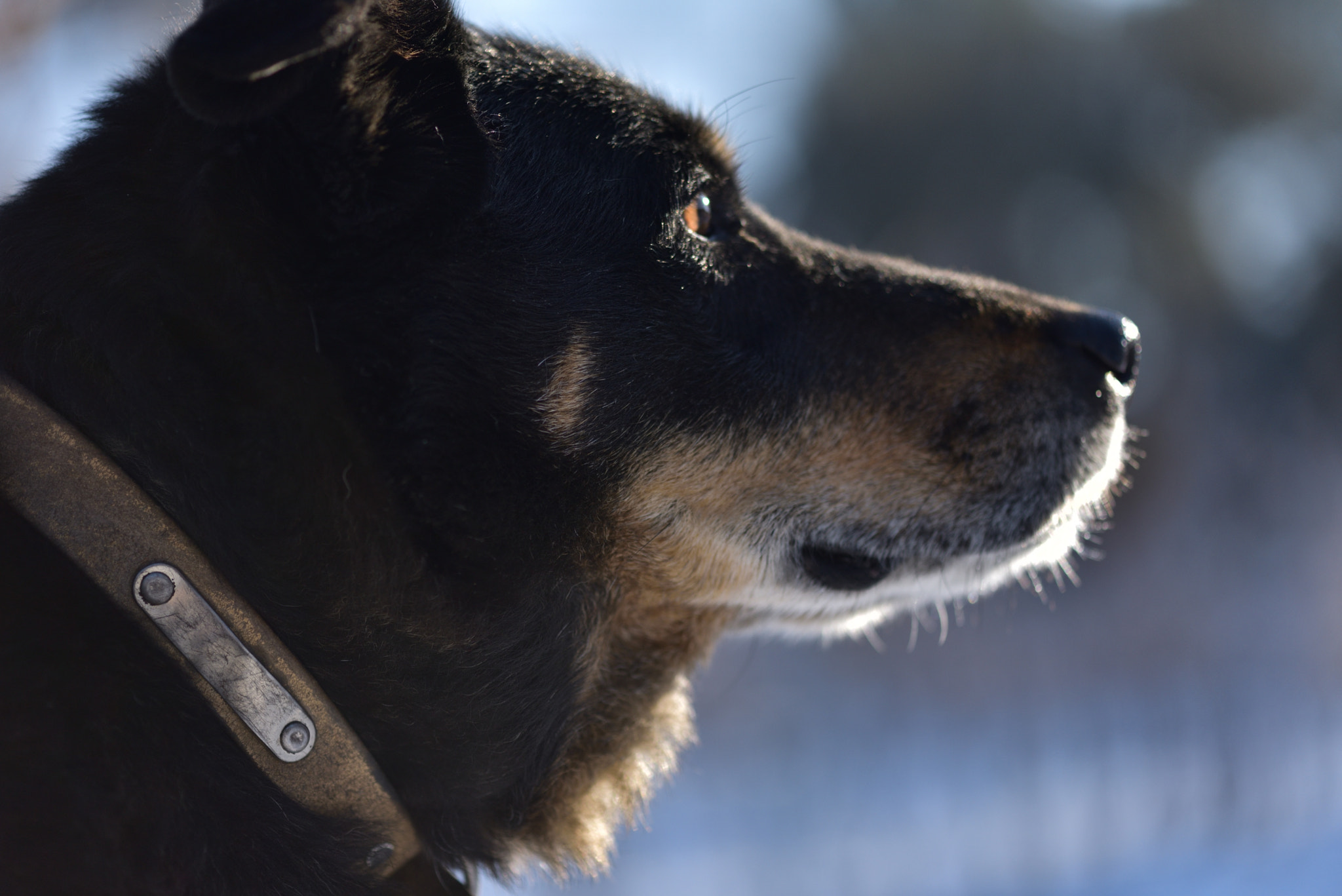 Nikon AF-S Micro-Nikkor 105mm F2.8G IF-ED VR sample photo. Rip vanille photography